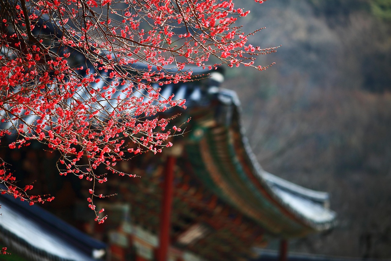 traditional-korean-calligraphy