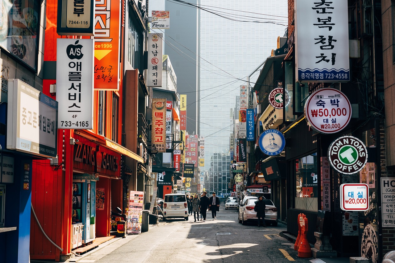 traveler-in-seoul