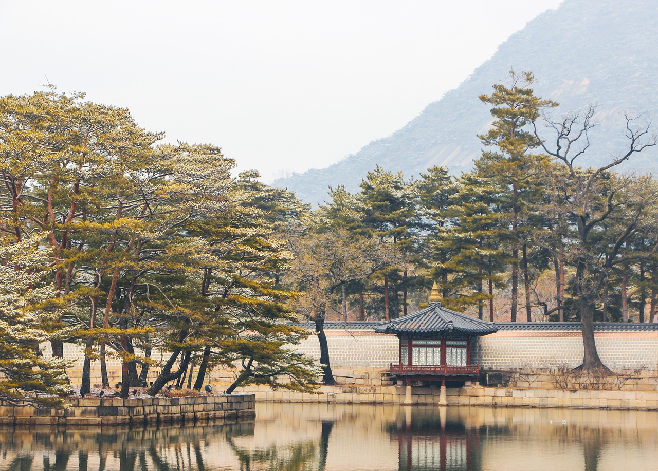 traveler-in-seoul