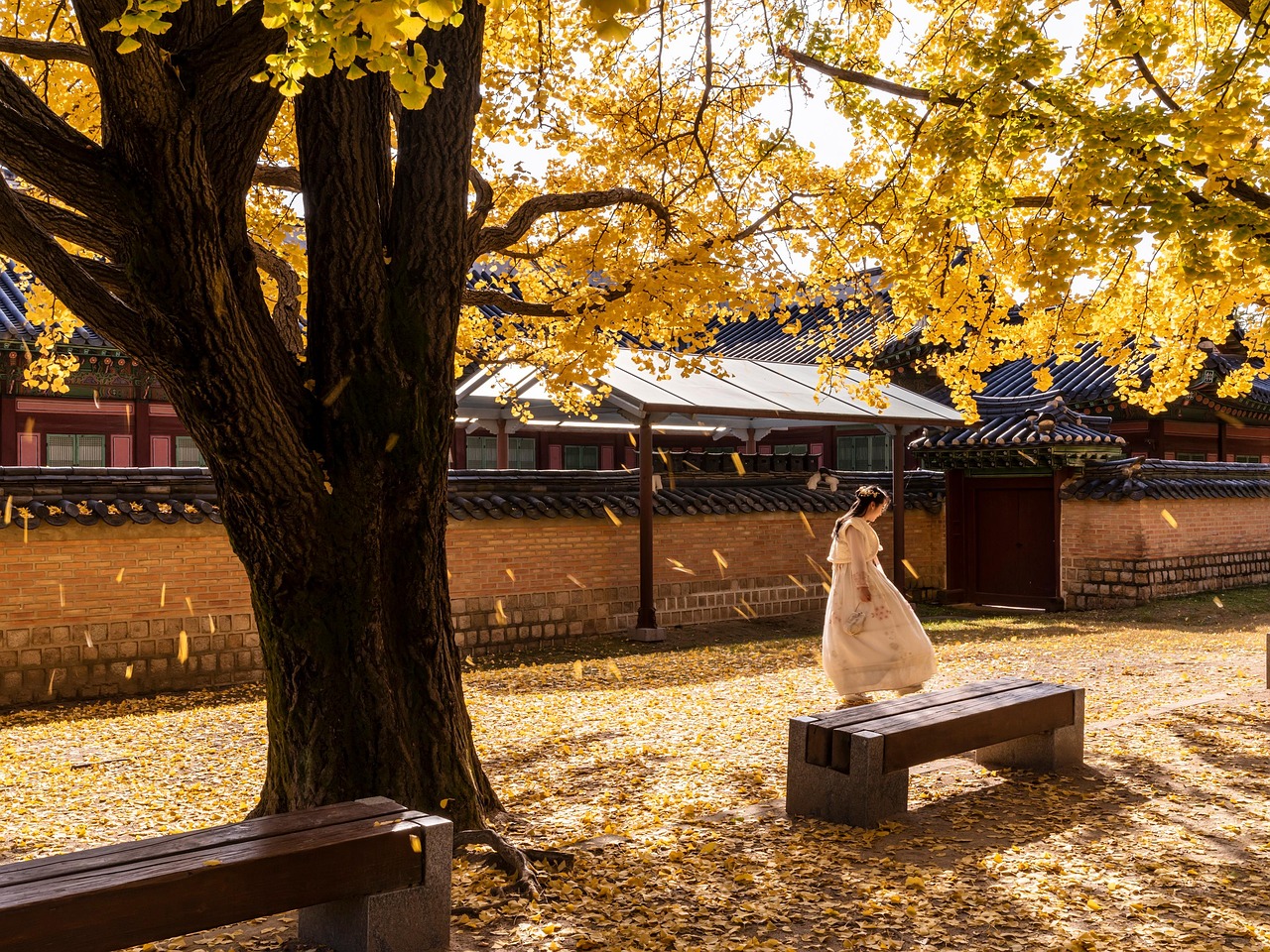 traveler-in-seoul